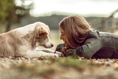 向かい合う女性と犬