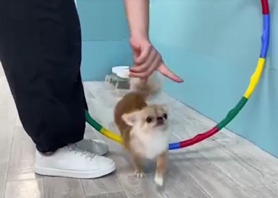 フラフープにチャレンジ