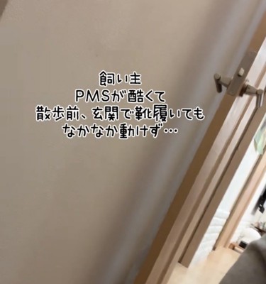 玄関の壁