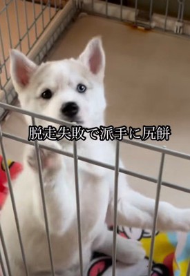 あえなく落下！！