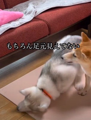 そのまま落下！！