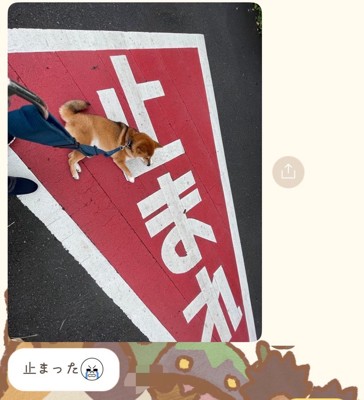 標識