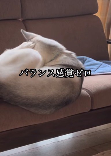 ゆったりしていたら…
