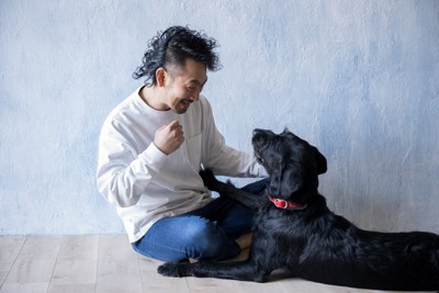 男性と犬