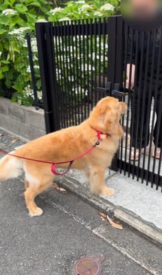 出てきてくれた和尚さんと大型犬