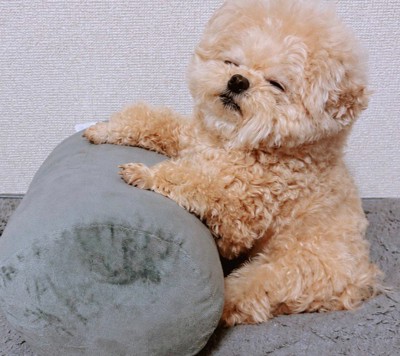 寝相のバリエーションが豊富♡