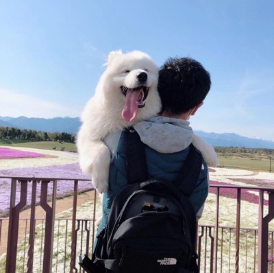 抱っこ
