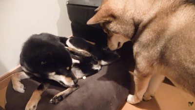 圧をかけ続けたら…
