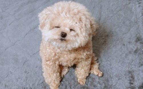 目を閉じてうとうと