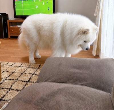 立ち尽くす
