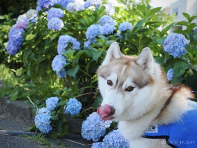 見返り