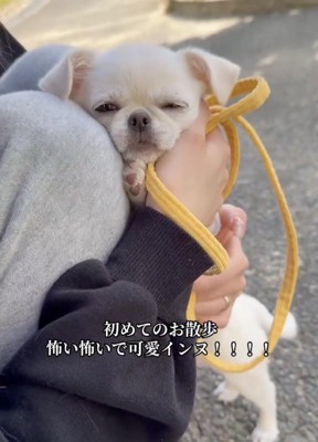 ママに励ましてもらいます