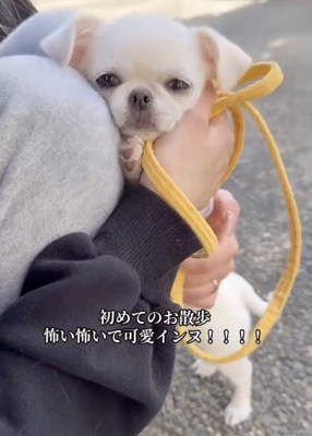 泣いちゃいそう