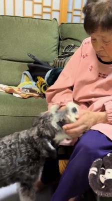 おばあちゃんの手を甘噛みする犬