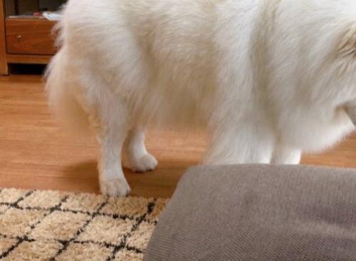 お兄ちゃん