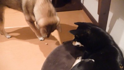 譲ってくれました♪
