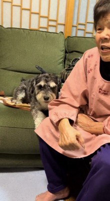おばあちゃんの隣に座る犬