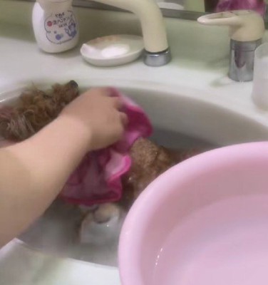 洗い終わったらタオルを乗せて…