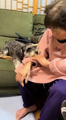 おばあちゃんの腕にあごを乗せる犬