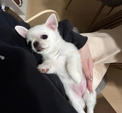 成長が楽しみすぎます