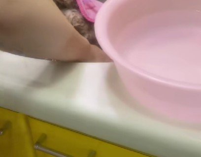沐浴の練習相手に選ばれたのは…