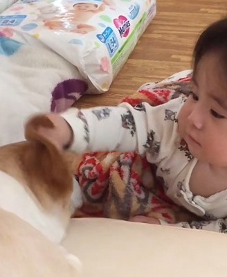 いたずらも成長のひとつ！