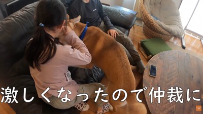 「もうやめなさい！」