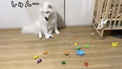 純粋なこはくちゃん