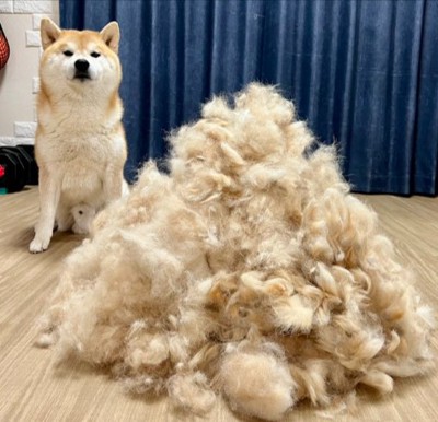衝撃