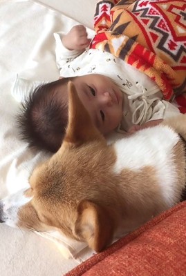 いつもそばに寄り添っていた