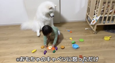完全に伏し目がちなこはくちゃん