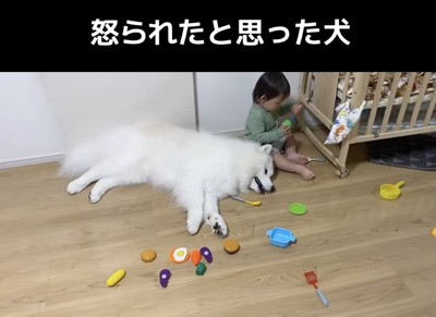 男の子の隣でまったり