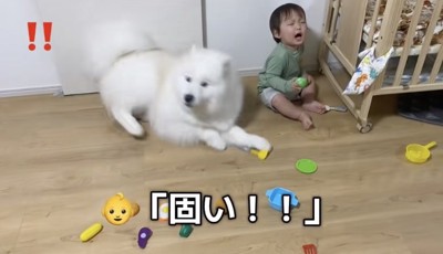 ザッ！！