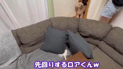 先回りして移動を阻止