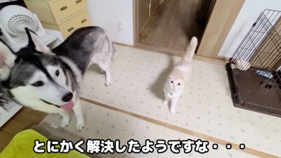 犬の隣に立つ猫