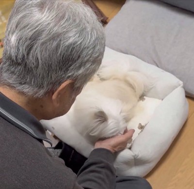 なぜか