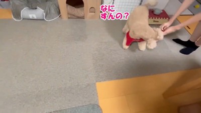 ハーネスを外したら…
