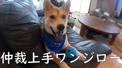 「上手に止められたよ♪」と得意げなお顔