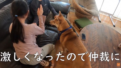 ベシベシ叩いて反撃