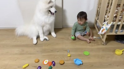 しょんぼり…