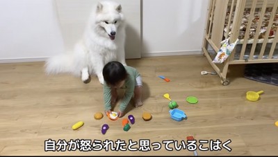 「ごめんよ…」