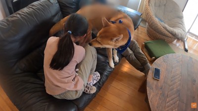 「ケンカはダメ！」