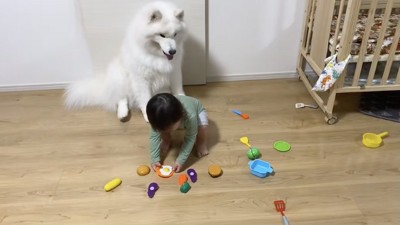 「何か悪いことしたかな…」