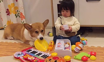 遊び相手は任せてね