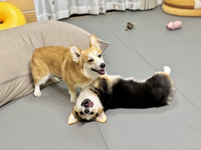 仲良し