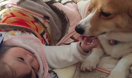 相思相愛になったふたり