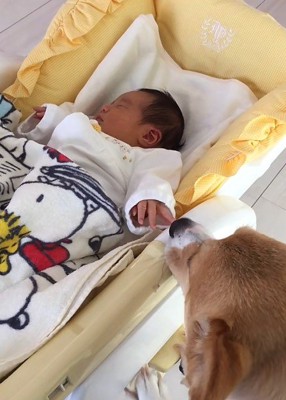 赤ちゃんが生まれたら…