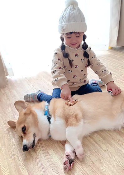 優しさが引き継がれて…