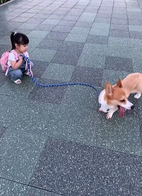お散歩係は娘さん！！