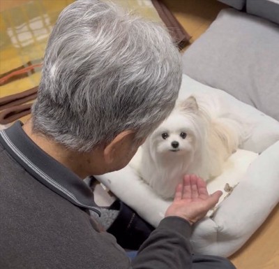 ハッ